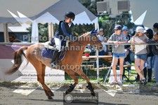 ref. photo 3601481