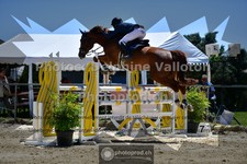 ref. photo 3601492