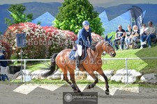 ref. photo 3601584