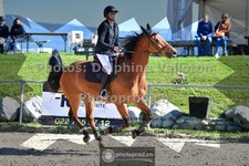 ref. photo 3601743