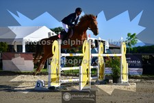ref. photo 3601808