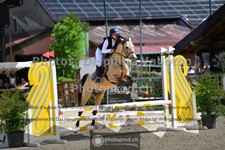 ref. photo 3601833