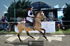 ref. photo 3601835