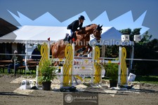 ref. photo 3601851