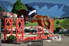 ref. photo 3601854