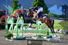 ref. photo 3601867