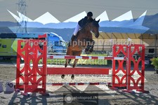 ref. photo 3601868