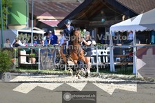 ref. photo 3601876
