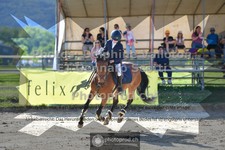 ref. photo 3601882