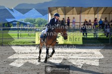 ref. photo 3601883