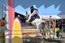 ref. photo 3601914