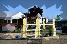 ref. photo 3601935
