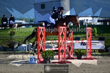 ref. photo 3601960