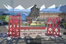ref. photo 3601989