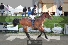 ref. photo 3601996