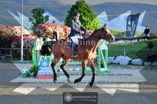 ref. photo 3602002