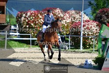 ref. photo 3602010