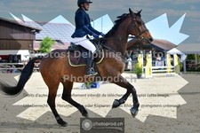 ref. photo 3602039