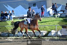 ref. photo 3602076