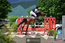 ref. photo 3602082