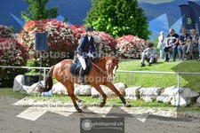 ref. photo 3602101