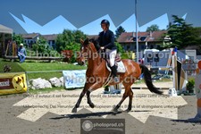 ref. photo 3602107
