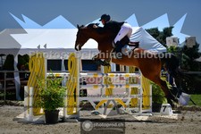 ref. photo 3602109