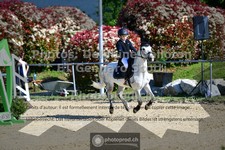 ref. photo 3602150