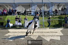 ref. photo 3602155