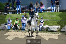 ref. photo 3602167