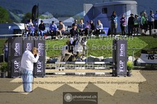 ref. photo 3602177
