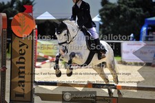 ref. photo 3602180