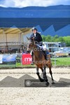 ref. photo 3602185