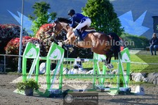 ref. photo 3602211