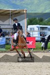 ref. photo 3602305