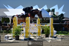 ref. photo 3602331
