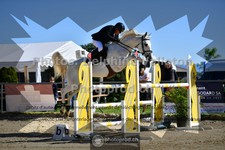 ref. photo 3602349