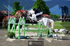ref. photo 3602352