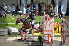 ref. photo 3602414
