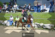 ref. photo 3602428