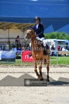 ref. photo 3602507