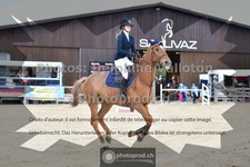 ref. photo 3602515