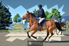 ref. photo 3602540