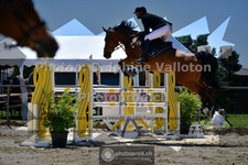 ref. photo 3602543