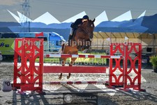 ref. photo 3602559