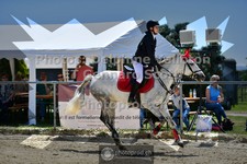 ref. photo 3602585