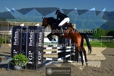 ref. photo 3602609