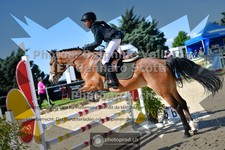 ref. photo 3602636