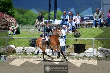 ref. photo 3602642