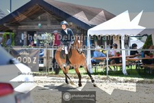 ref. photo 3602648